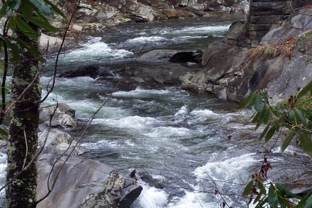 Nature scene with water flowing through wooded setting.